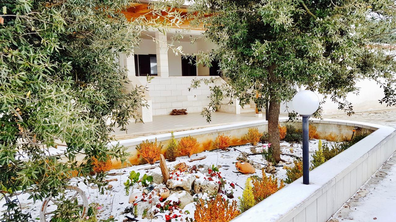 Villa Wonder Alberobello Zewnętrze zdjęcie