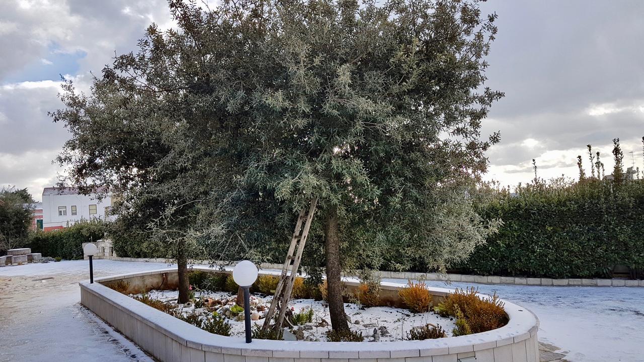 Villa Wonder Alberobello Zewnętrze zdjęcie